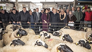 Torbalı’da çiftçilere 173 hayvan dağıtıldı