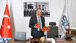 Türk domatesi Rusya vizesi bekliyor