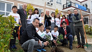 Çeşmeli öğrenciler Sakız Ağacı dikti