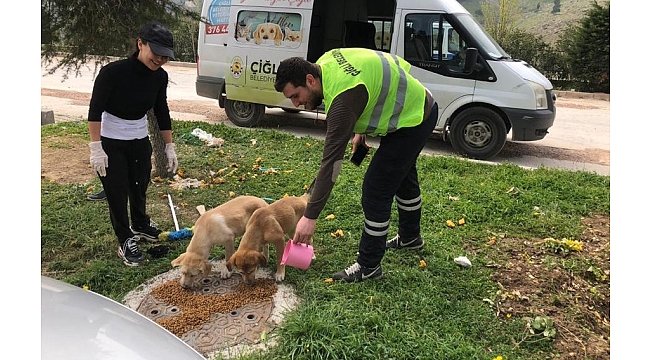 Çiğli Belediyesi Sokak Hayvanlarını Unutmadı