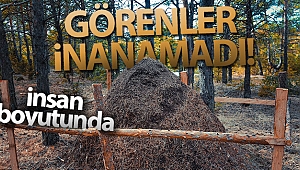 Görünce gözlerine inanamadılar, hemen koruma altına alındı