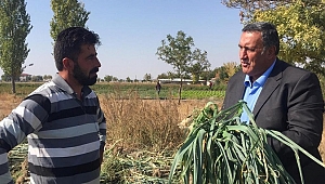 Gürer “Geçen yılın destekleri daha ödenmedi”