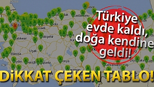 Korona Virüs'e bir de böyle bakın
