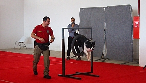 Pet İzmir’de Emniyetin Gösterisi Nefesleri Kesti