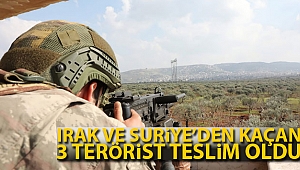 Şırnak ve Mardin'de 3 terörist teslim oldu