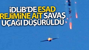 SMO, Esad rejimine ait savaş uçağını düşürdü