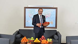 Türk domatesi Rusya vizesini kaptı