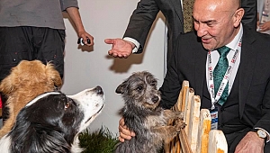 Türkiye’nin En Büyük Pet Fuarı Gerçekleşti