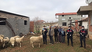 Uşak’ta 4 hırsızlık olayının failleri yakalandı