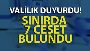 Van Çaldıran'da 7 ceset bulundu