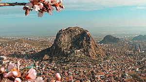 Baharın müjdecisi badem ağaçları çiçek açtı