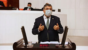 “Belediyelerin en az geçen yılki gelirleri garanti edilmeli”