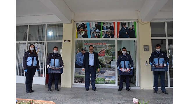 Demirci&#039;de sağlık çalışanlarına hünnap dağıtıldı