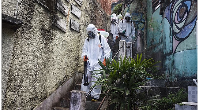 Dünya genelinde Kovid-19 vakası sayısı 2,5 milyonu aştı