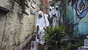 Dünya genelinde Kovid-19 vakası sayısı 2,5 milyonu aştı