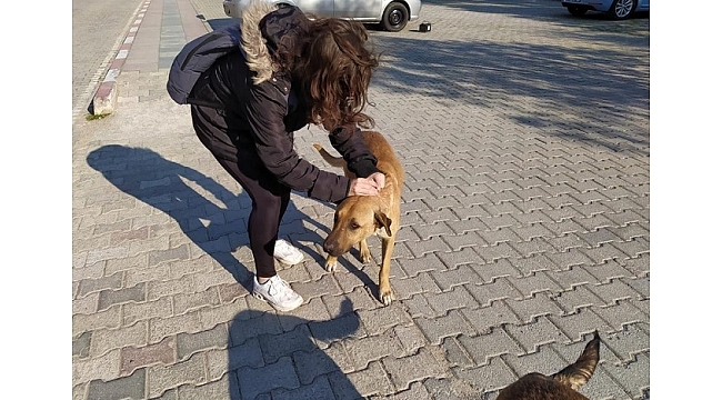 Egeliler kampüsteki dostlarını yalnız bırakmadı