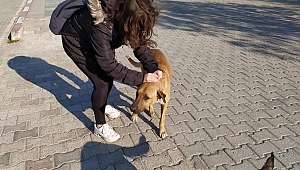 Egeliler kampüsteki dostlarını yalnız bırakmadı