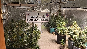 Evinde kurduğu serada uyuşturucu yetiştirdi