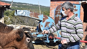 Gözü gibi baktığı "Moçar"ı Milli Dayanışma Kampanyası'na bağışladı
