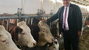 Gürer “Süt üreticisi diken üzerinde”