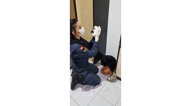 Jandarma yarasına "merhem" olduğu "Zeytin"e doğum yaptırdı