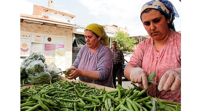 Kaymakçı baklasına Büyükşehir desteği