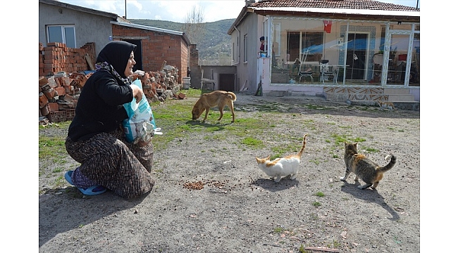 Kedi ve köpeklerine yiyecek isteyen kadının yüzünü belediye ekipleri güldürdü