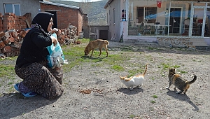 Kedi ve köpeklerine yiyecek isteyen kadının yüzünü belediye ekipleri güldürdü