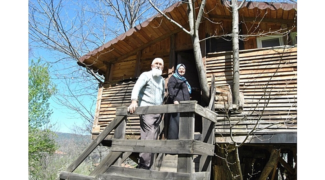 Koronavirüs sürecini ağaç evlerde geçiriyorlar