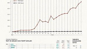 Vaka ve vefat edenlerin oranı aynı seyrediyor