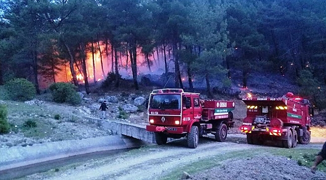 Muğla'da 33 orman yangınında 16 hektar alan zarar gördü