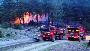 Muğla'da 33 orman yangınında 16 hektar alan zarar gördü