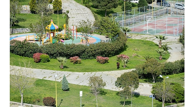 Parklar Atlara Kaldı