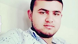 "Zeytin fidesini kırdın" kavgası: 1 ölü, 9 yaralı