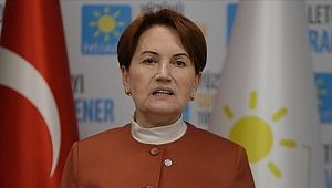Akşener'den Liderlere Çağrı