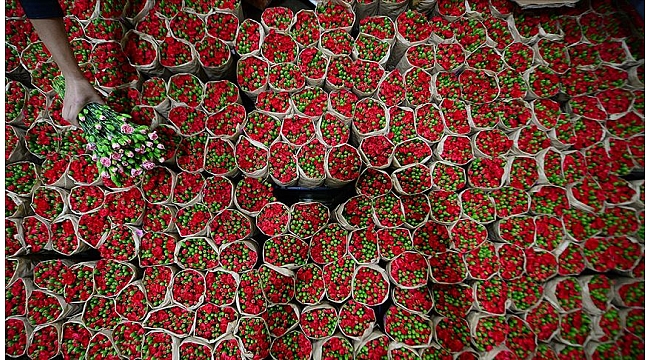 Çiçekler anneleri sevindirmek üzere yola çıktı