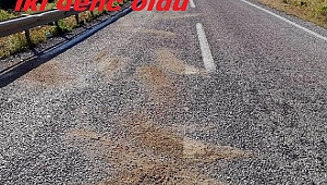 Foça'da  bariyerlere çarpan motosikletteki iki genç öldü
