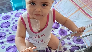 Hilal bebek için kemik iliği aranıyor