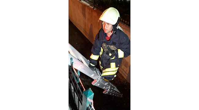 İtfaiyeden tavşan kurtarma operasyonu