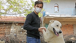 Kovid-19'u yenen gençten yaşıtlarına "evde kalın" çağrısı