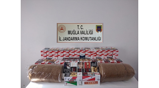 Muğla'da kaçak tütün ve sigara operasyonu
