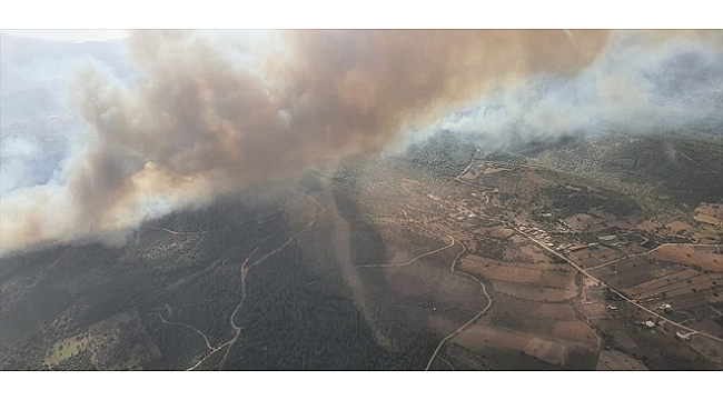 Muğla&#039;da orman yangını