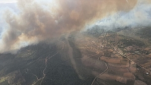 Muğla'da orman yangını