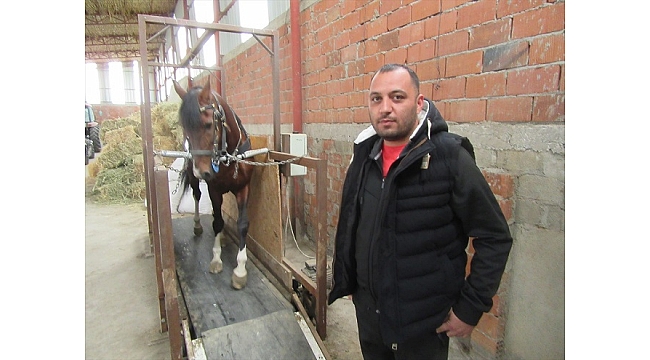 "Rahvan atları" yarışlara koşu bandında hazırlanıyor