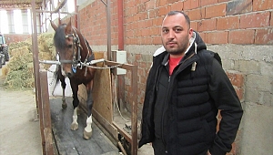 "Rahvan atları" yarışlara koşu bandında hazırlanıyor