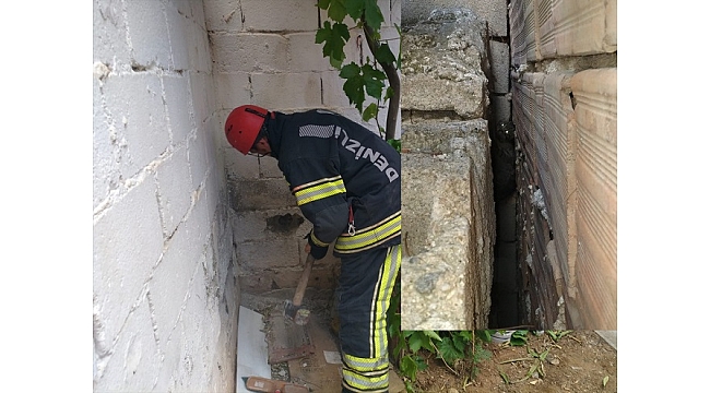 Sıkışan kediyi kurtarmak için duvarı deldiler