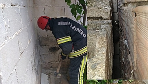 Sıkışan kediyi kurtarmak için duvarı deldiler