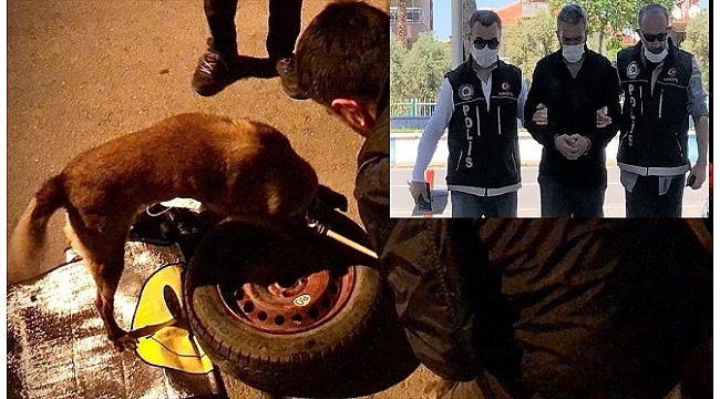 Stepne'den Uyuşturucu Çıktı