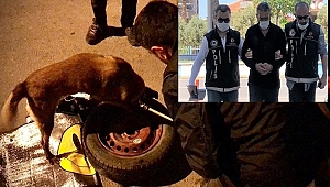 Stepne'den Uyuşturucu Çıktı