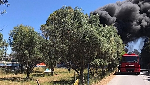 Su sporları merkezinde çıkan yangın söndürüldü